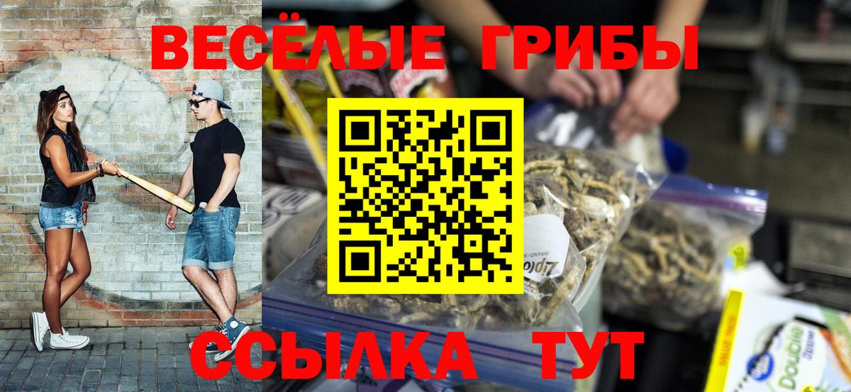 Обь  Галлюциногенные грибы MAGIC MUSHROOMS  Вход с VPN 