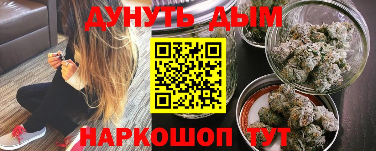 Бошки Шишки Amnesia  Вход с VPN  Шишки марихуана планчик  Обь  Канабис сатива 